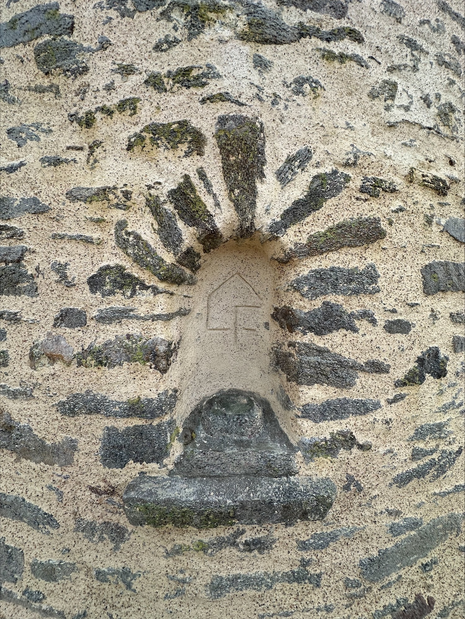 processed-B6A4EB69-8D7B-43F4-AADF-FD22C1E68222